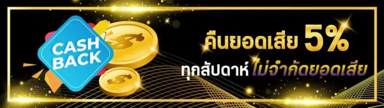 โปรโมชั่น allwin